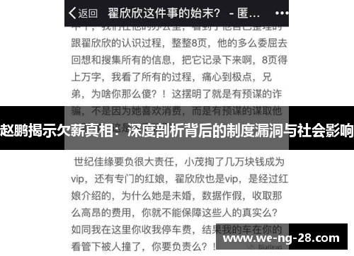 赵鹏揭示欠薪真相：深度剖析背后的制度漏洞与社会影响