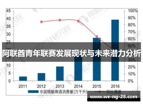 阿联酋青年联赛发展现状与未来潜力分析