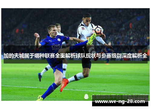 加的夫城属于哪种联赛全面解析球队现状与参赛级别深度解析全