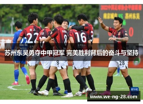 苏州东吴勇夺中甲冠军 完美胜利背后的奋斗与坚持