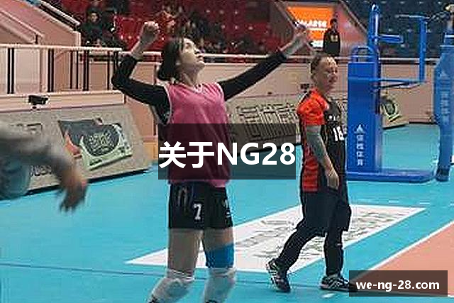 关于NG28